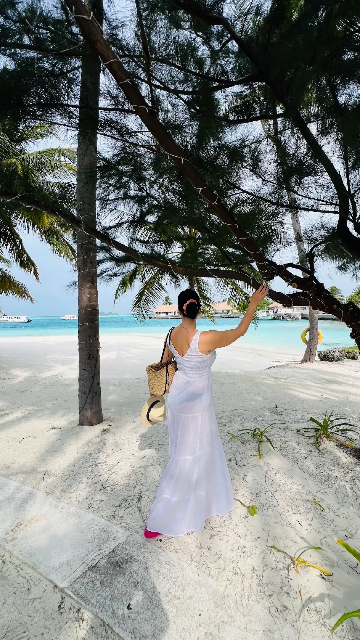 Mapshore traveller photo 10