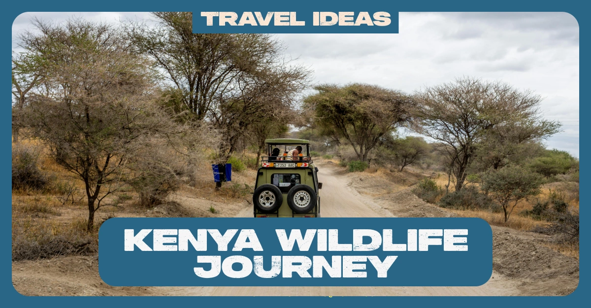 Masai Mara Packages from UAE | Kenya Safari Tours